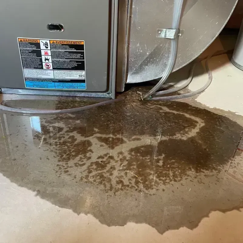 Appliance Leak Cleanup in Palmyra, MO